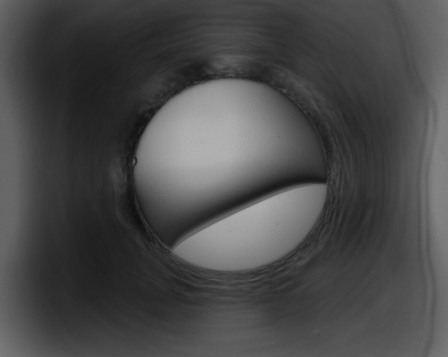 X0000098090751200804040726