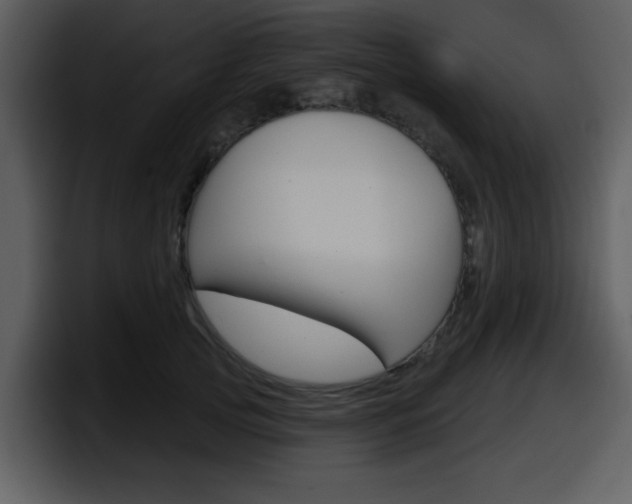 X0000098090753200804040726