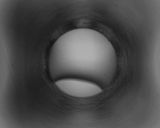 X0000098090755200804040726