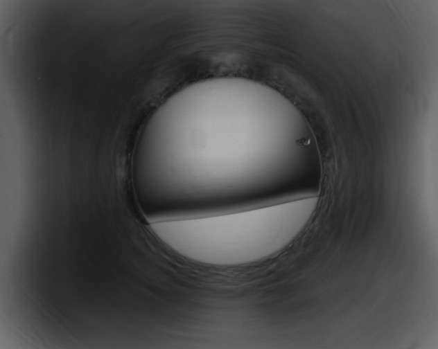 X0000098090756200804040726