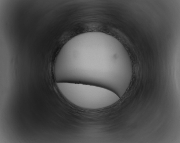 X0000098090757200804040726