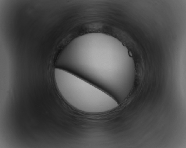 X0000098090758200804040726