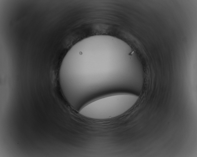 X0000098090759200804040726
