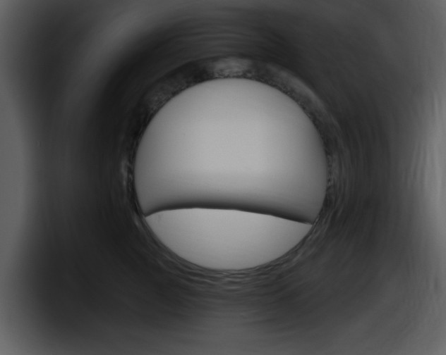 X0000098090761200804040726