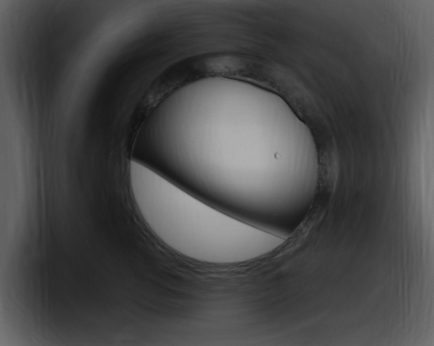 X0000098090762200804040726