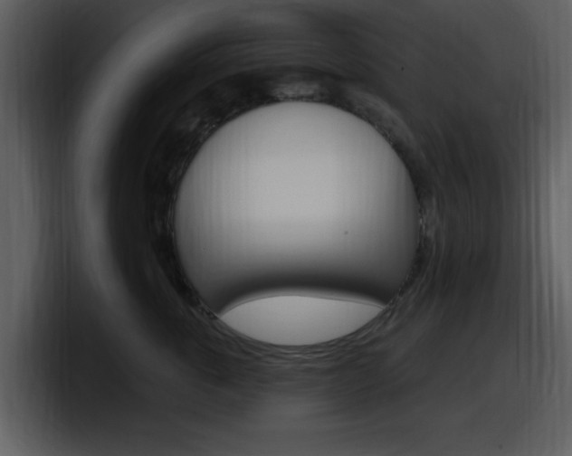 X0000098090763200804040726