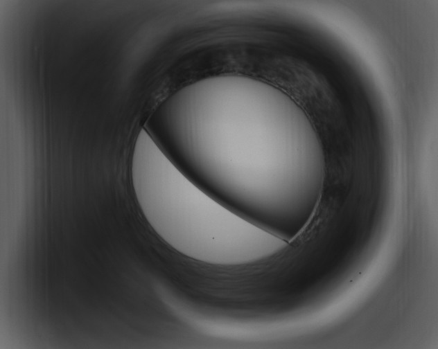 X0000098090766200804040726