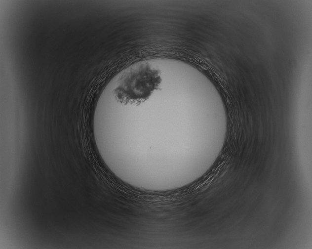 X0000098090769200804040726