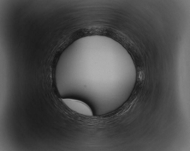 X0000098090771200804040726