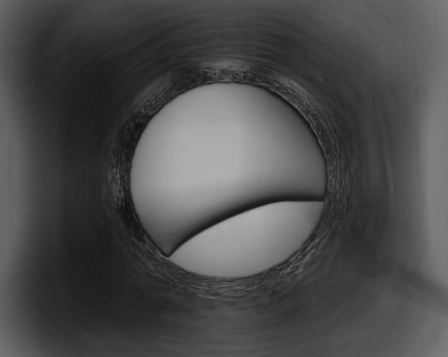 X0000098090774200804040726