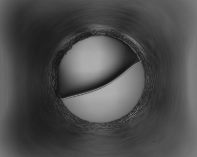 X0000098090775200804040726