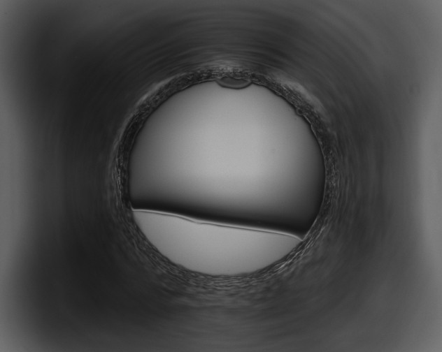 X0000098090776200804040725