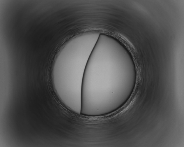 X0000098090777200804040725
