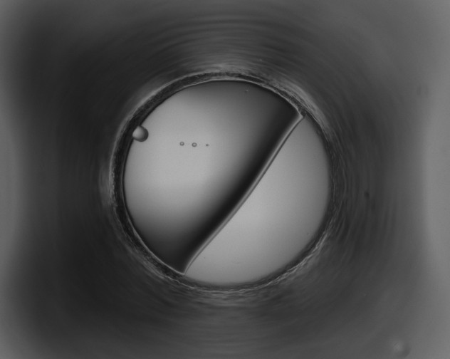 X0000098090780200804040725