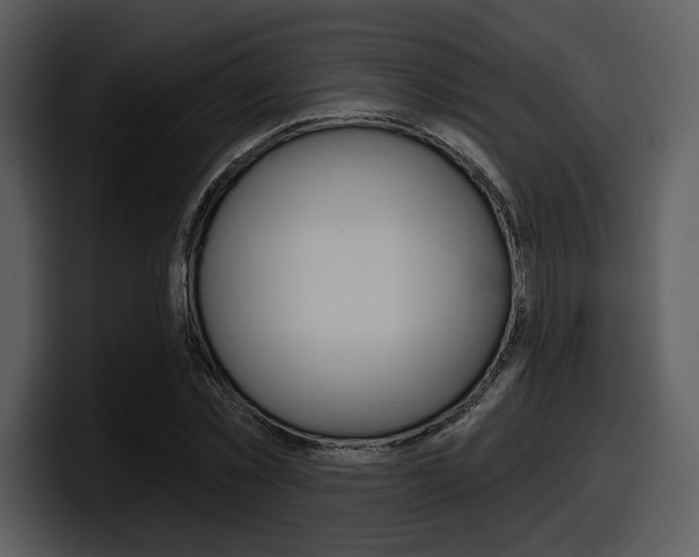 X0000098090781200804040725