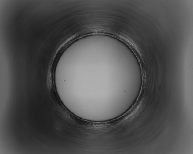 X0000098090782200804040725