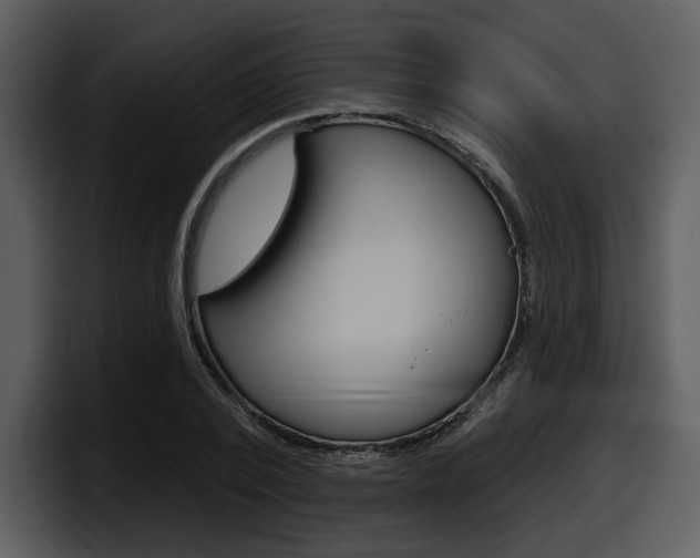 X0000098090784200804040725