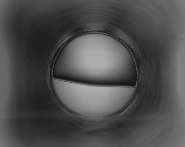 X0000098090786200804040725