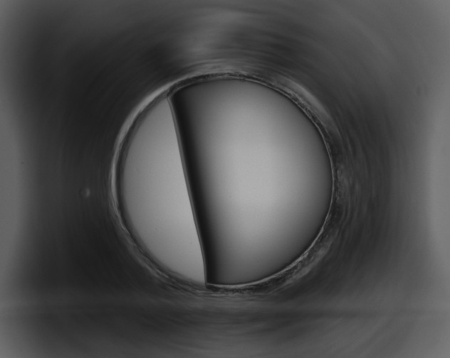 X0000098090788200804040725