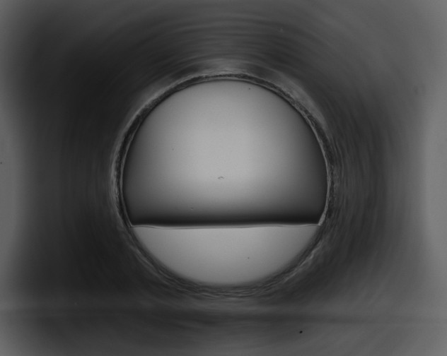 X0000098090789200804040725