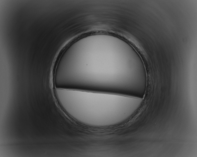 X0000098090791200804040725