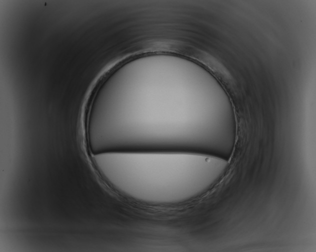 X0000098090792200804040725