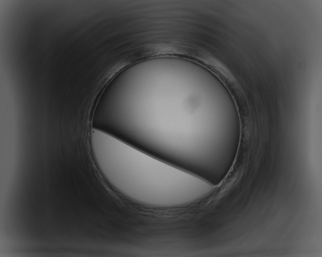 X0000098090793200804040725