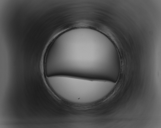 X0000098090795200804040725