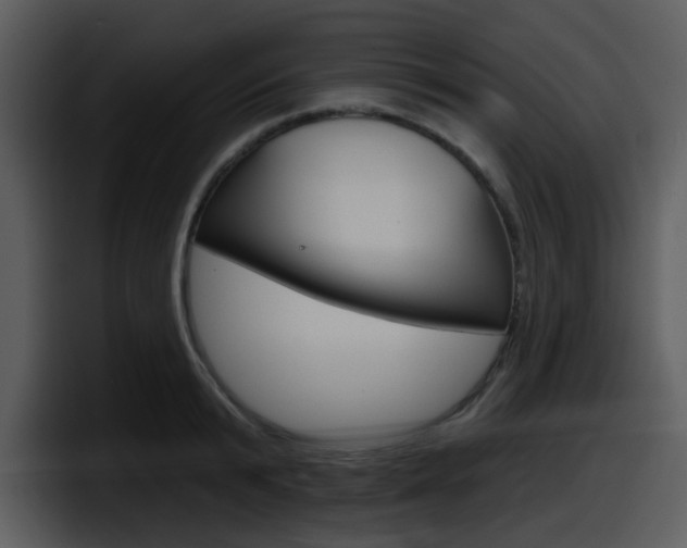 X0000098090799200804040725