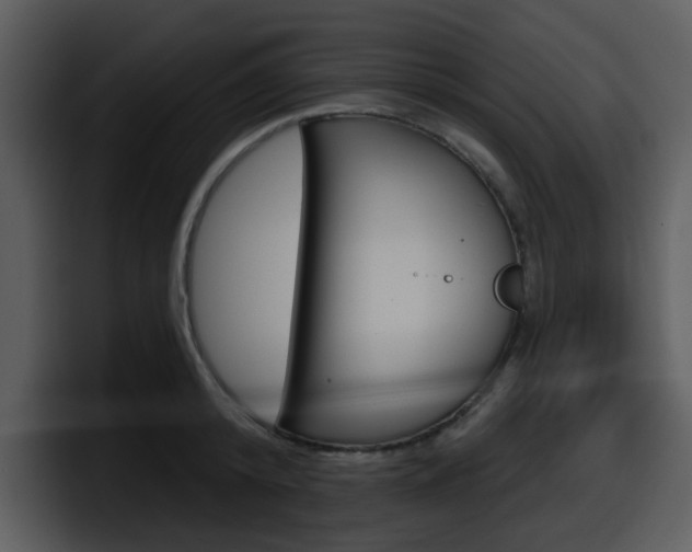 X0000098090800200804040725