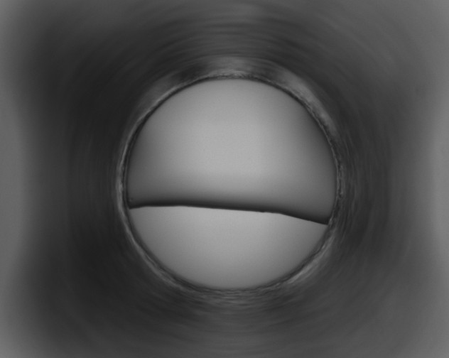 X0000098090802200804040725