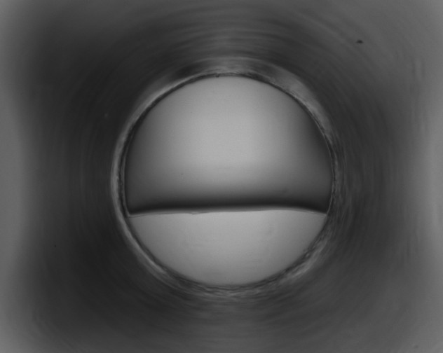 X0000098090803200804040725