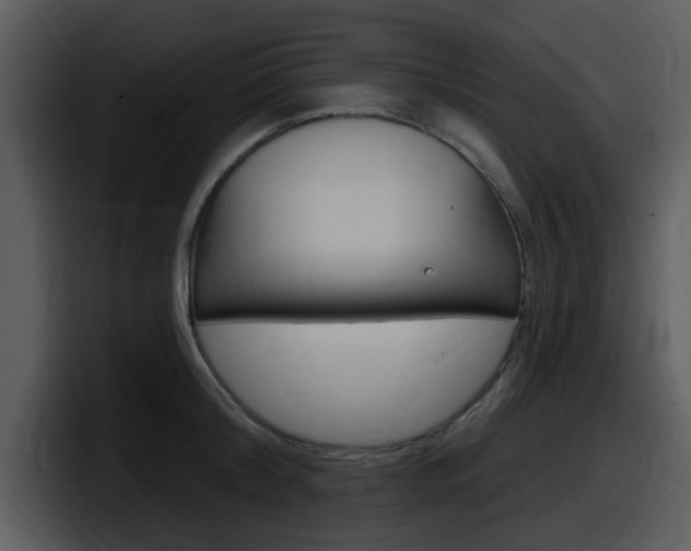 X0000098090804200804040725