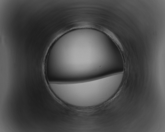 X0000098090805200804040725