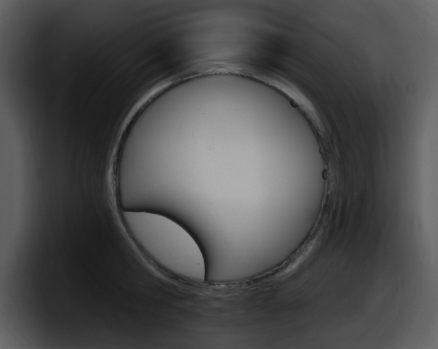 X0000098090806200804040725
