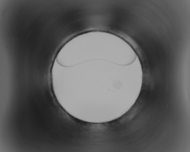X0000098090807200804040725