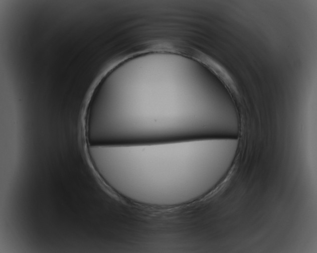 X0000098090808200804040725