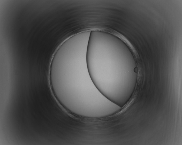 X0000098090810200804040725