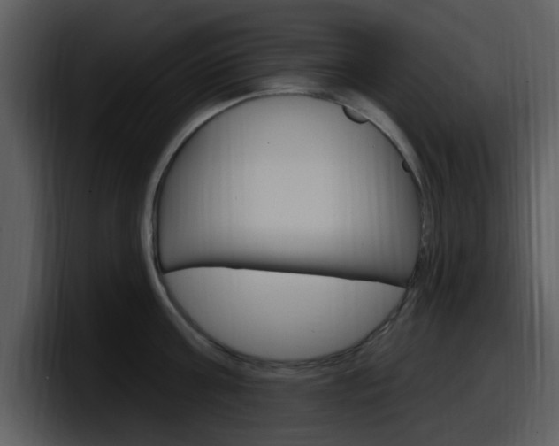 X0000098090811200804040725