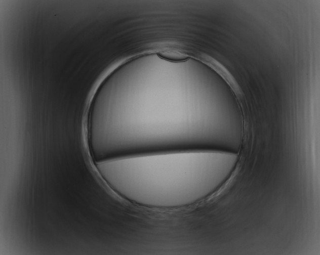 X0000098090812200804040725