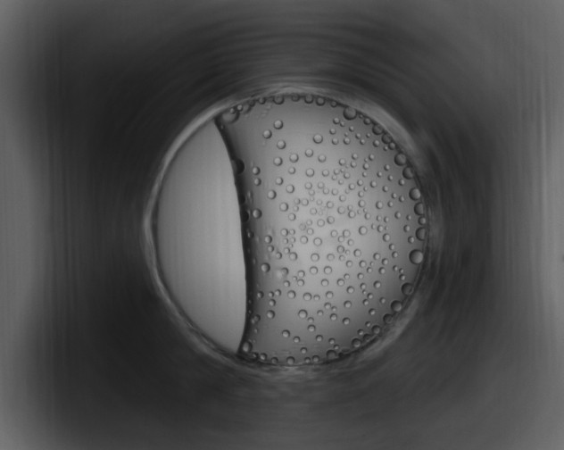 X0000098090814200804040725