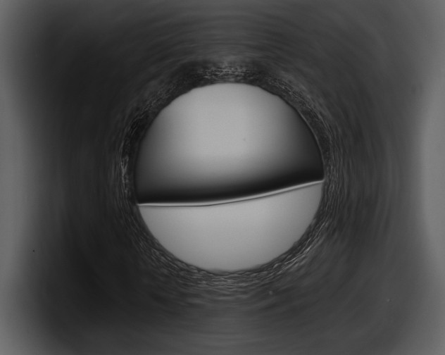 X0000098090818200804040724