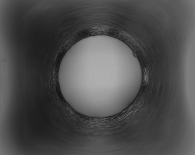 X0000098090819200804040724
