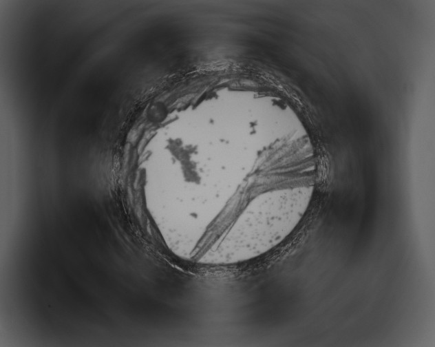 X0000098090820200804040724