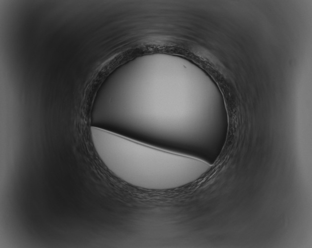 X0000098090822200804040724