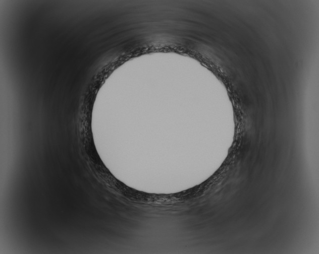 X0000098090824200804040724
