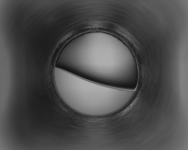X0000098090826200804040724