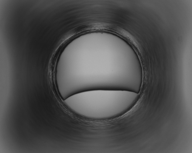 X0000098090827200804040724