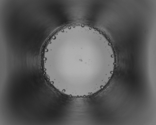 X0000098090828200804040724