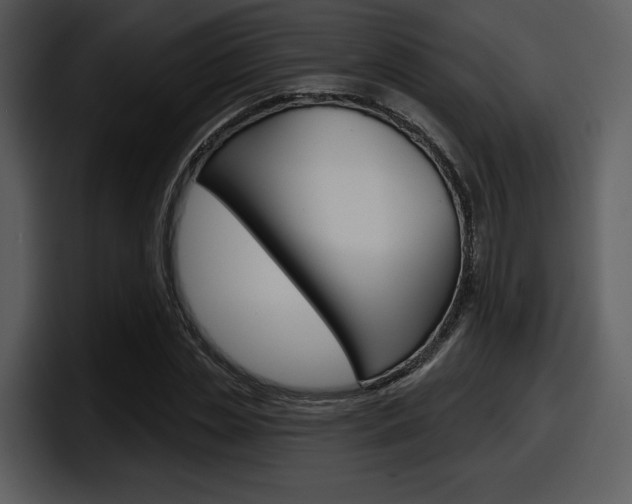 X0000098090829200804040725